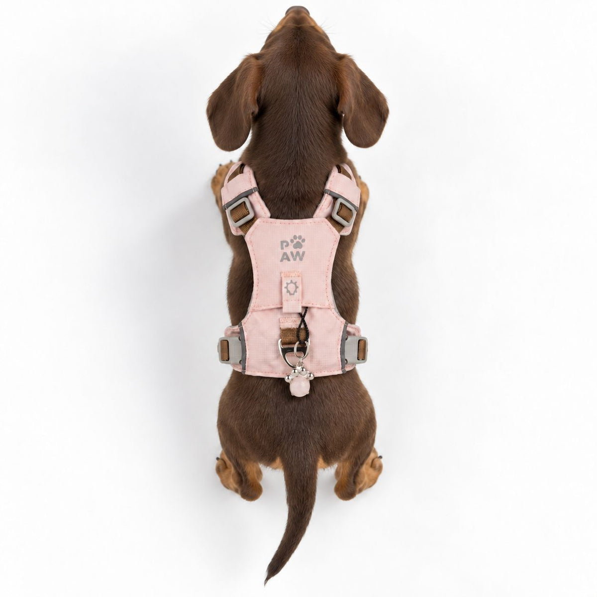 PAW - XS (2-4Kg) Dog Step-in Guardian Harness with Reflective Mesh - Soft Pink - Rose Quartz Charm