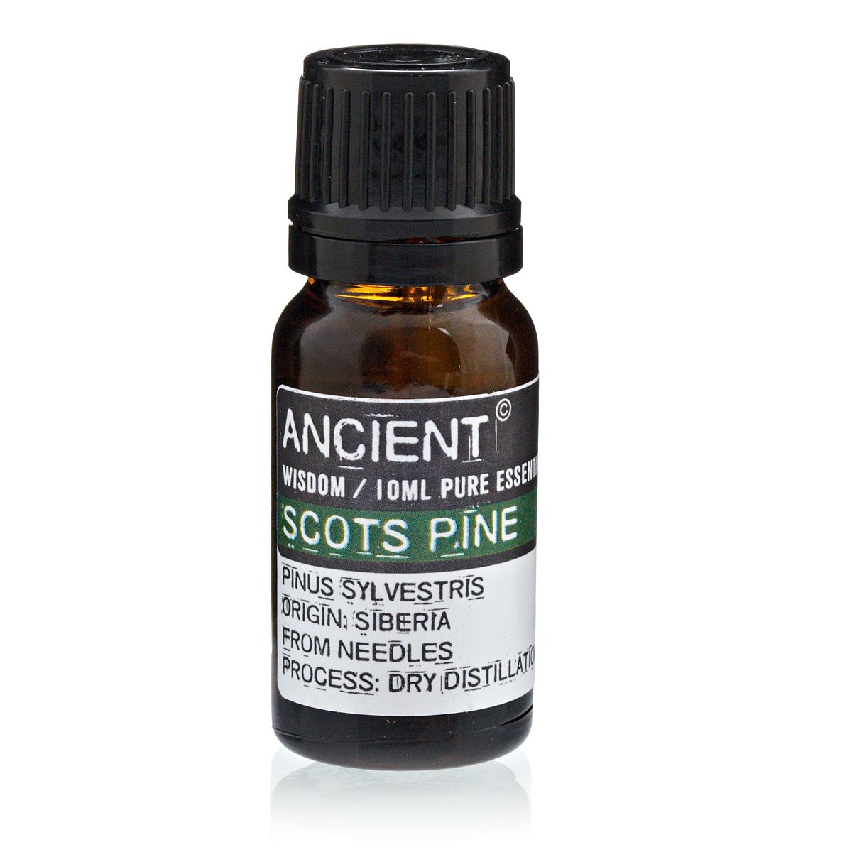 10 ml Pine Sylvestris (Scots Pine) Essential Oil bottle