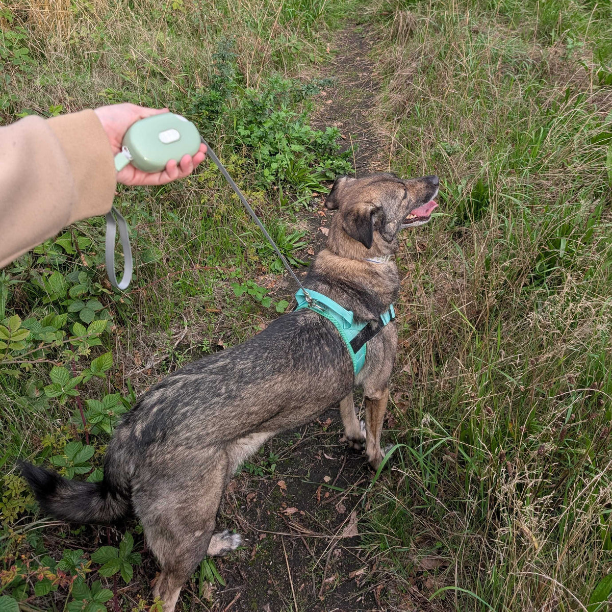 Paw Pet Leash - Pocket Pod - Green - 1.5m