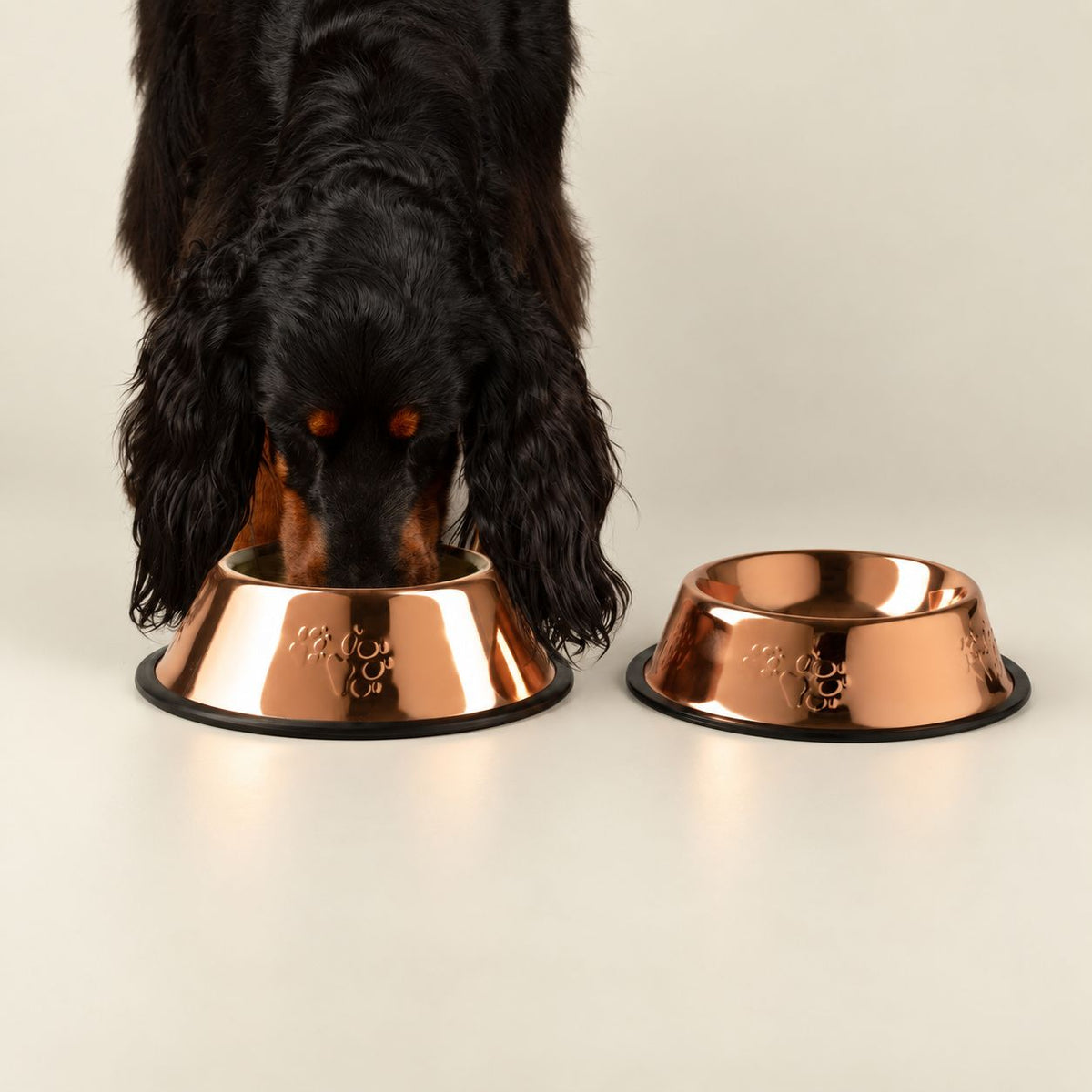 PAW Pet Bowls & Raised Feeders