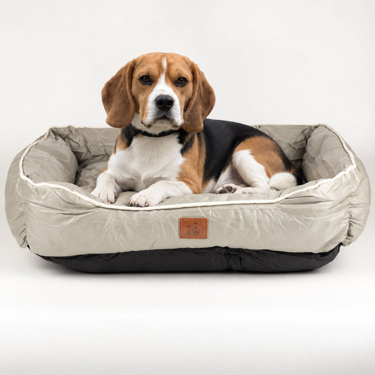 For Our Furry Friends