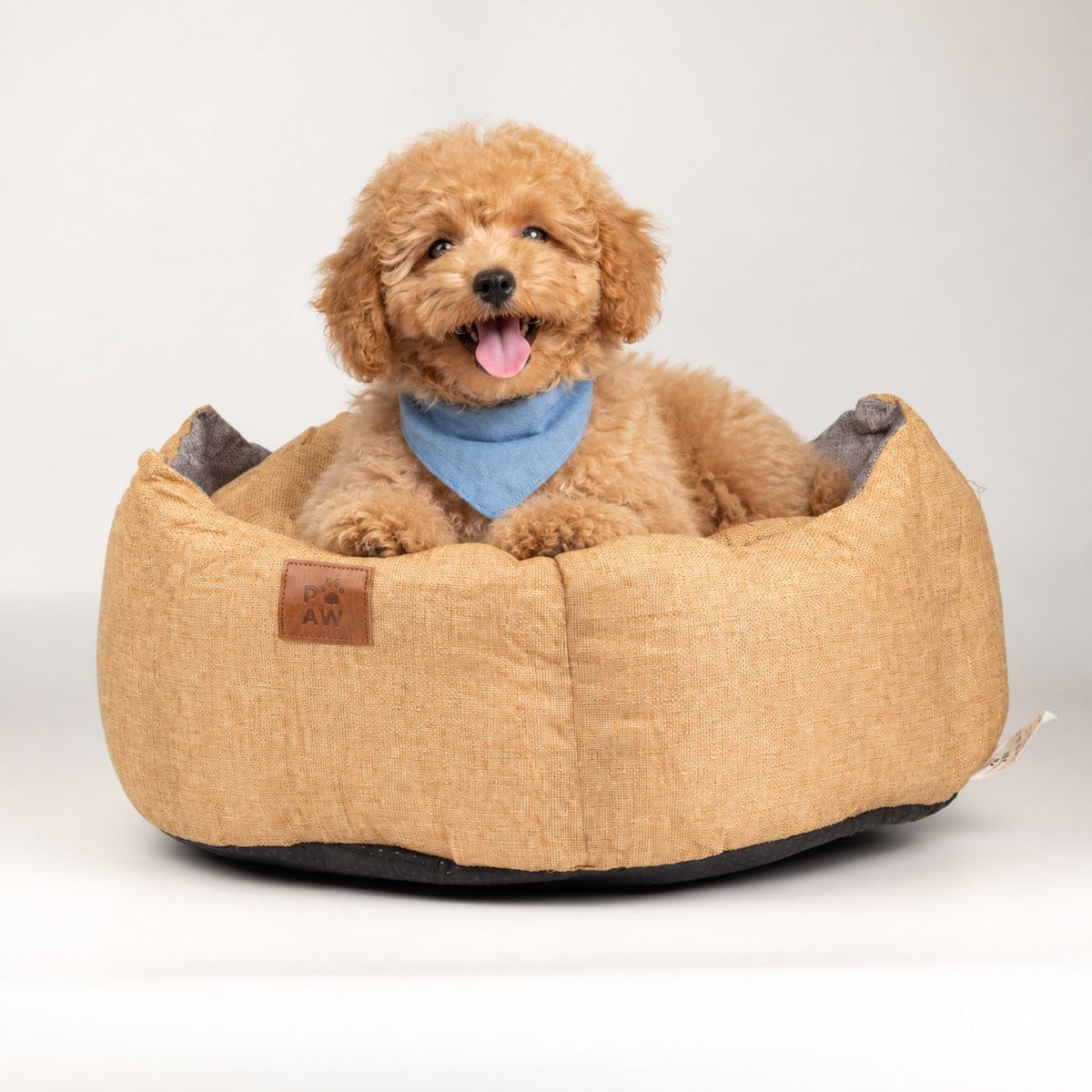 PAW Pet Beds & Cosy Pet Tents
