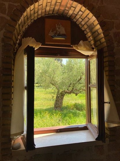 View from a high vantage point looking down at a garden with a brick wall and window frame.