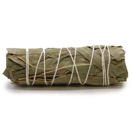 10 cm long bundle of White Sage & Eucalyptus leaves bound in cotton string