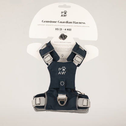 PAW - XS (2-4Kg) Dog Step-in Guardian Harness with Reflective Mesh - Rock Grey - Black Obsidian Charm