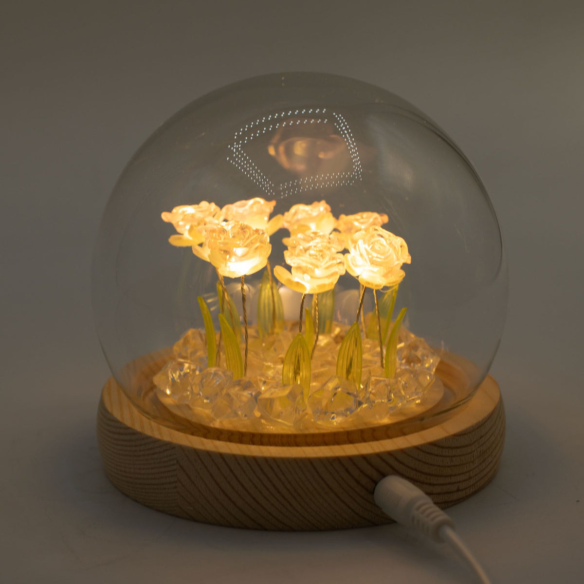 Floral Glow Garden Dome - 10 Pink Roses - LED USB
