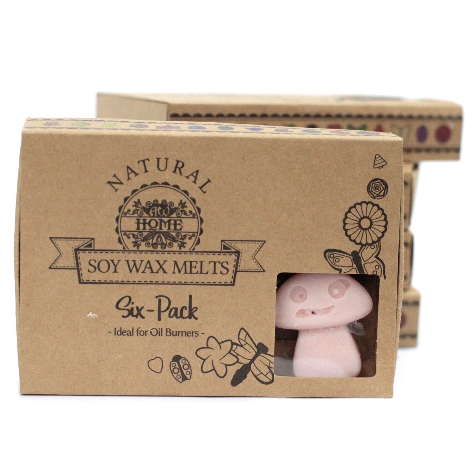 Box of 6 Wax Melts - Old Ginger