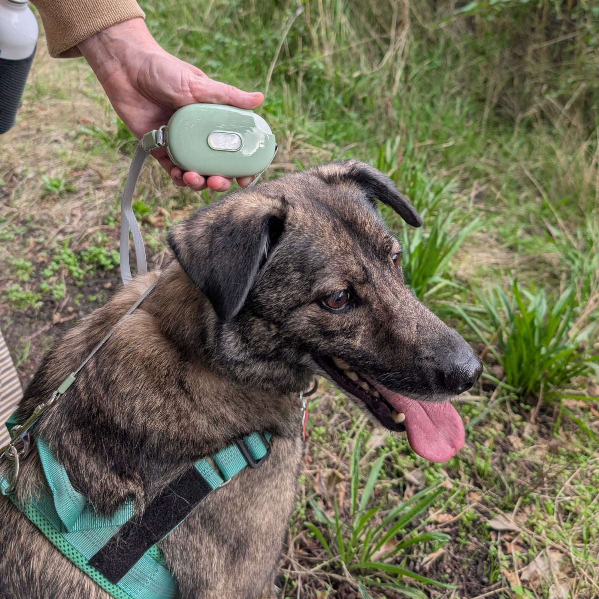 Paw Pet Leash - Pocket Pod - Green - 1.5m
