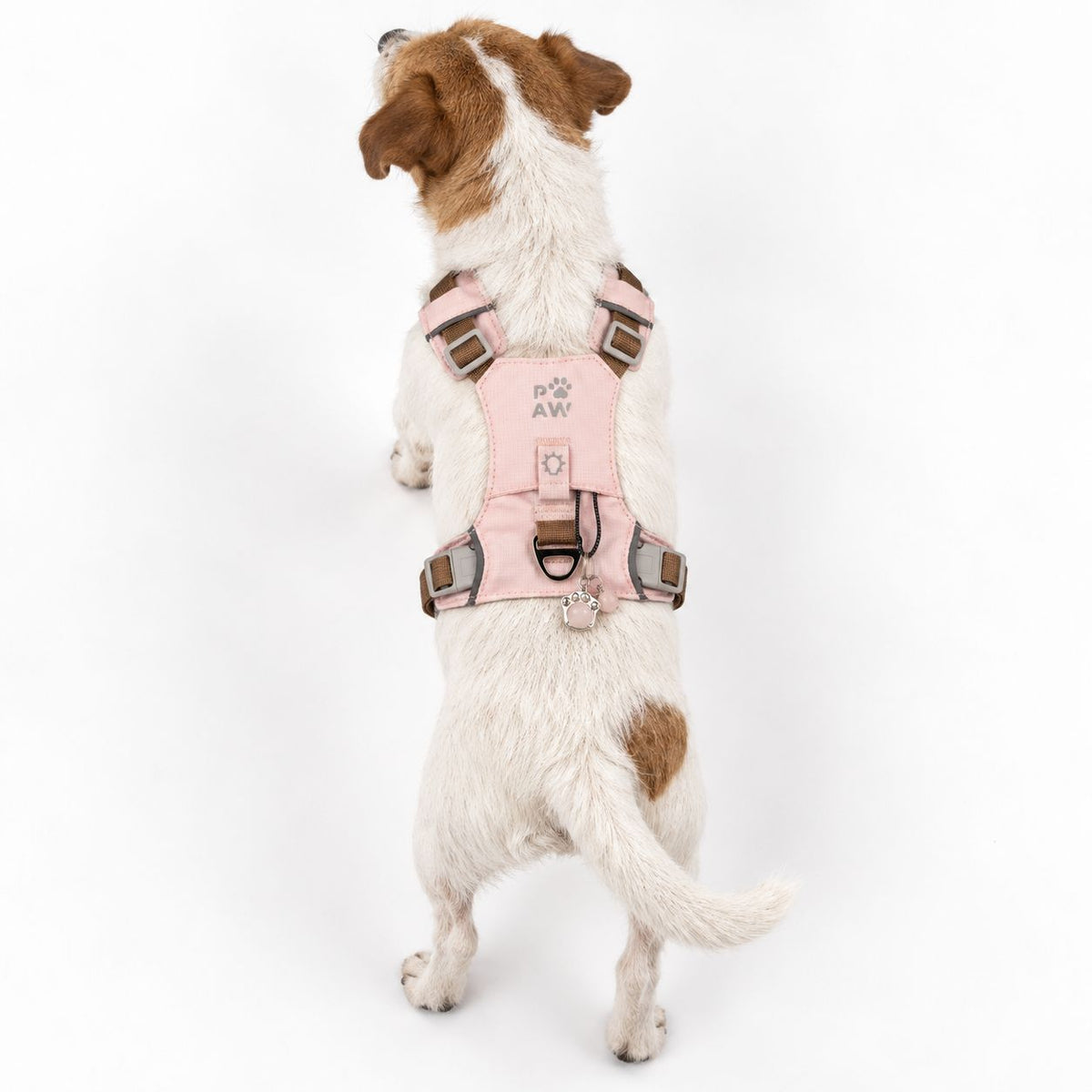PAW - S (4-8Kg) Dog Step-in Guardian Harness with Reflective Mesh - Soft Pink - Rose Quartz Charm