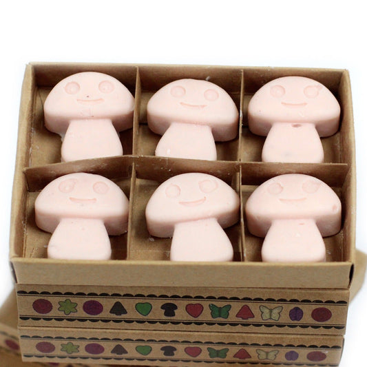 Box of 6 Wax Melts - Dark Sandalwood