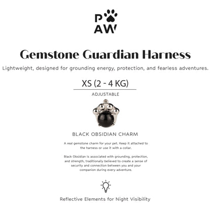 PAW - XS (2-4Kg) Dog Step-in Guardian Harness with Reflective Mesh - Rock Grey - Black Obsidian Charm