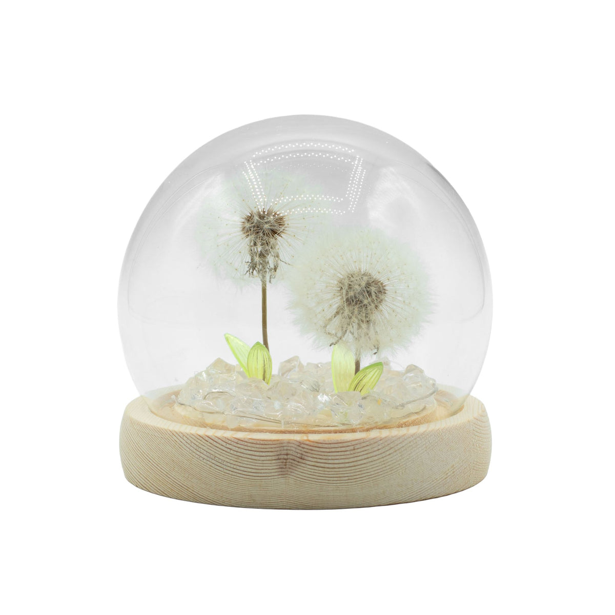 Floral Glow Garden Dome - 2 Dandelions - LED USB