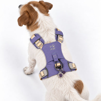 PAW - S (4-8Kg) Dog Step-in Guardian Harness with Reflective Mesh - Lavender - Amethyst Charm
