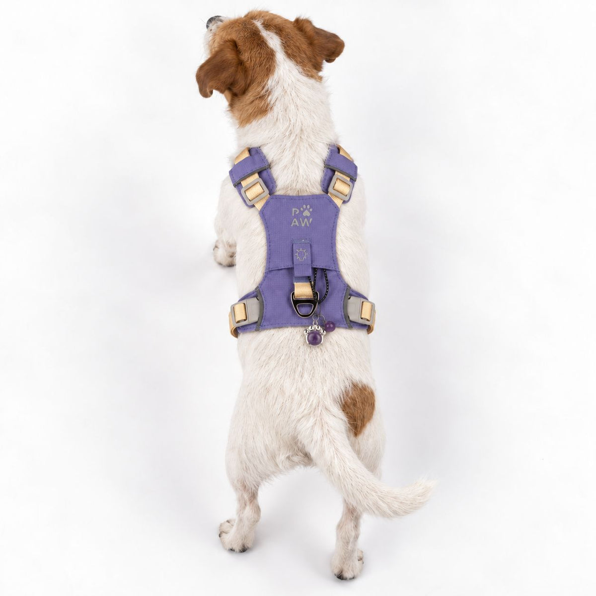 PAW - S (4-8Kg) Dog Step-in Guardian Harness with Reflective Mesh - Lavender - Amethyst Charm