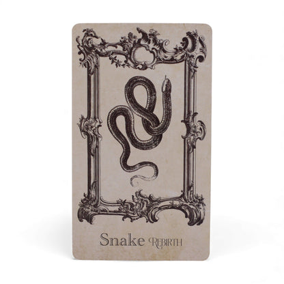 The Spellbook Oracle Cards- Witchcraft Deck