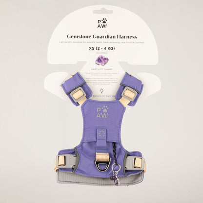 PAW - XS (2-4Kg) Dog Step-in Guardian Harness with Reflective Mesh - Lavender - Amethyst Charm