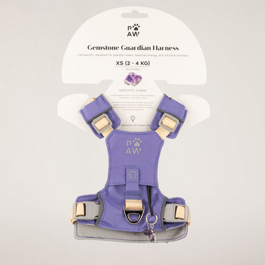 PAW - XS (2-4Kg) Dog Step-in Guardian Harness with Reflective Mesh - Lavender - Amethyst Charm