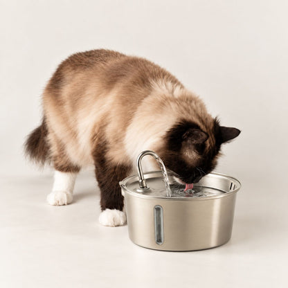 PAW Food Bowls - Electric Water Fountain 2.5 Liter - USB - Stainless Steal (304)