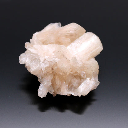 6x Stilbite Combination with Appophyllite 20-30mm