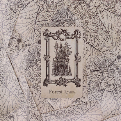 The Spellbook Oracle Cards- Witchcraft Deck