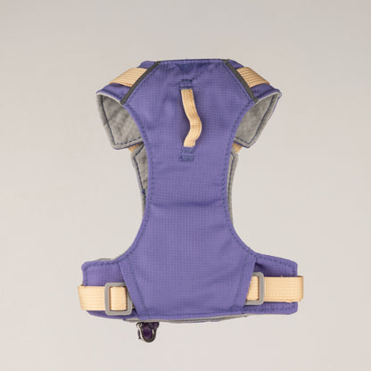 PAW - XS (2-4Kg) Dog Step-in Guardian Harness with Reflective Mesh - Lavender - Amethyst Charm