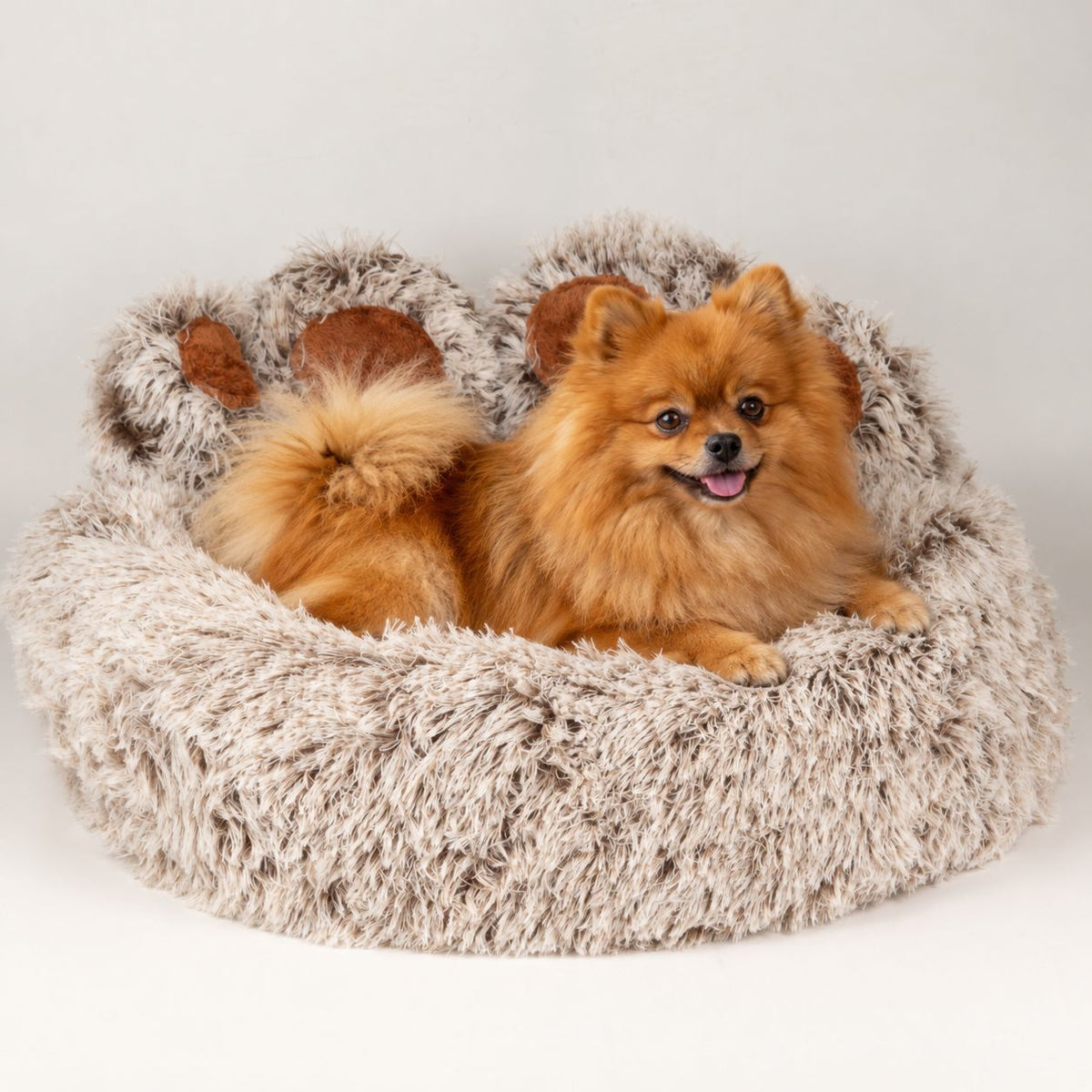 PAW Bed – Medium Big Paw – 60cm