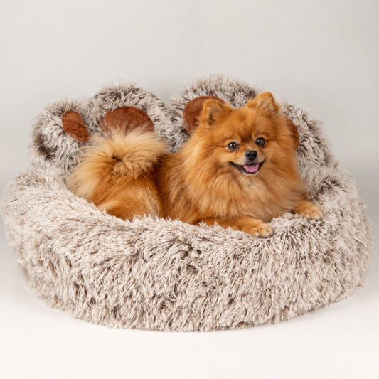 PAW Bed – Medium Big Paw – 60cm