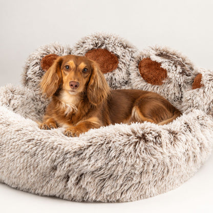 PAW Bed – Large Big Paw – 70cm