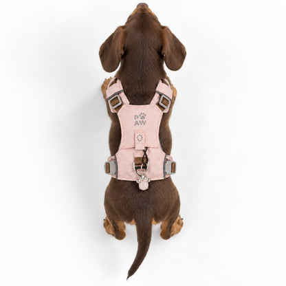 PAW - XS (2-4Kg) Dog Step-in Guardian Harness with Reflective Mesh - Soft Pink - Rose Quartz Charm