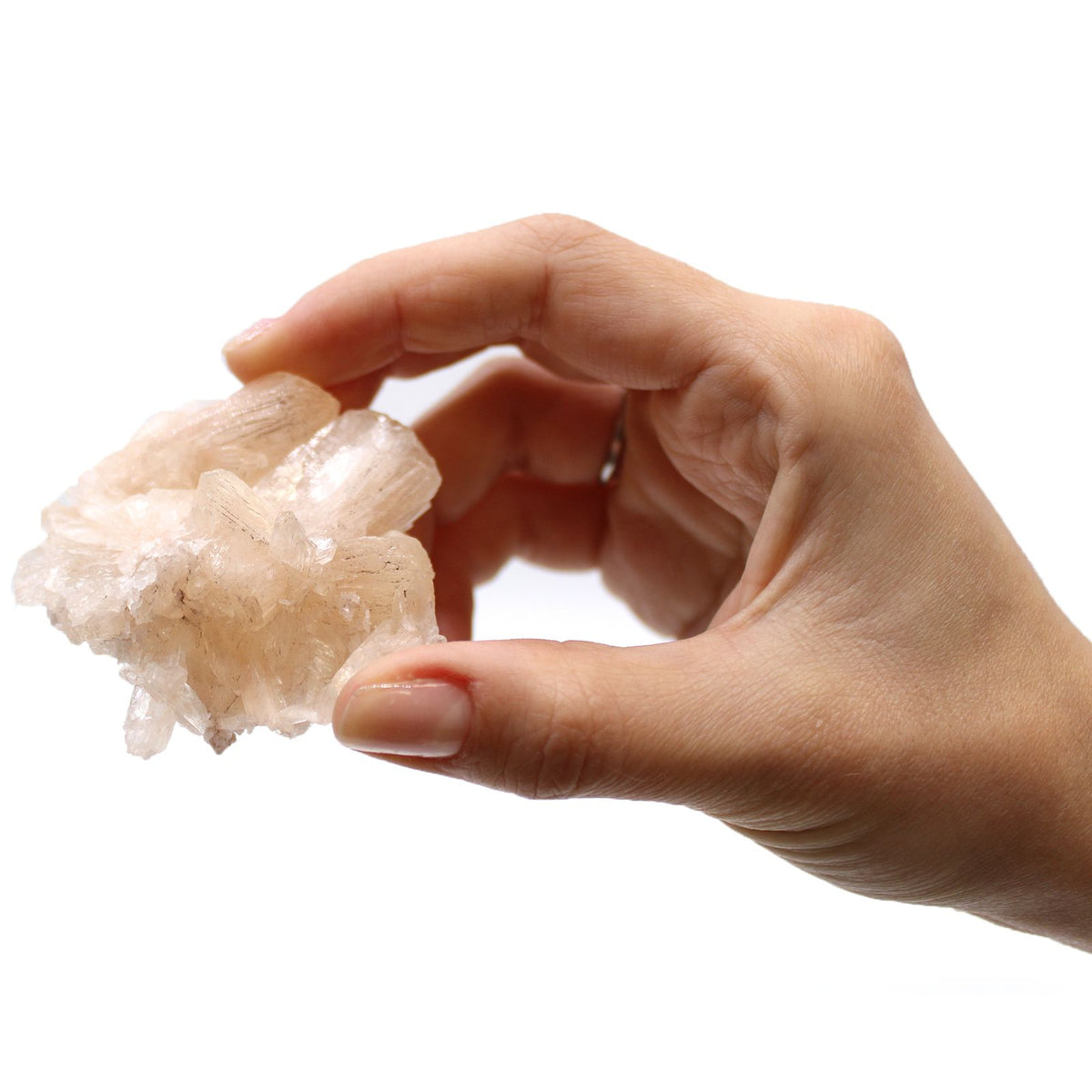 6x Stilbite Combination with Appophyllite 20-30mm