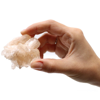 6x Stilbite Combination with Appophyllite 20-30mm