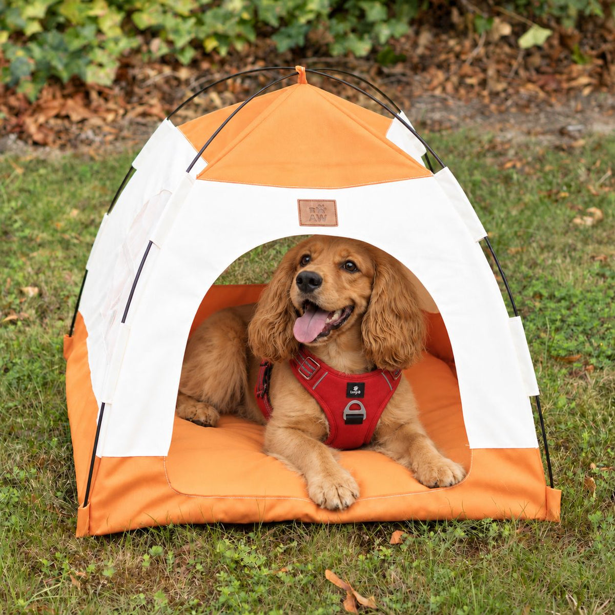 PAW Bed – Beige & Orange Tent – 58 × 58 × 48cm