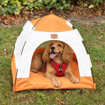 PAW Bed – Beige & Orange Tent – 58 × 58 × 48cm