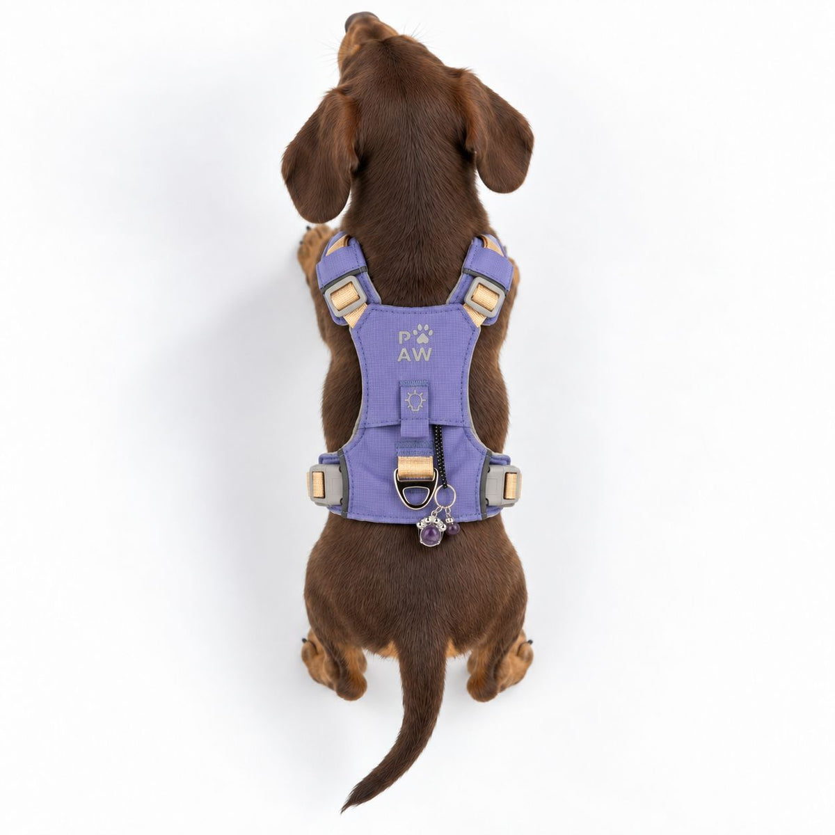 PAW - XS (2-4Kg) Dog Step-in Guardian Harness with Reflective Mesh - Lavender - Amethyst Charm