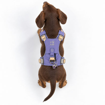 PAW - XS (2-4Kg) Dog Step-in Guardian Harness with Reflective Mesh - Lavender - Amethyst Charm