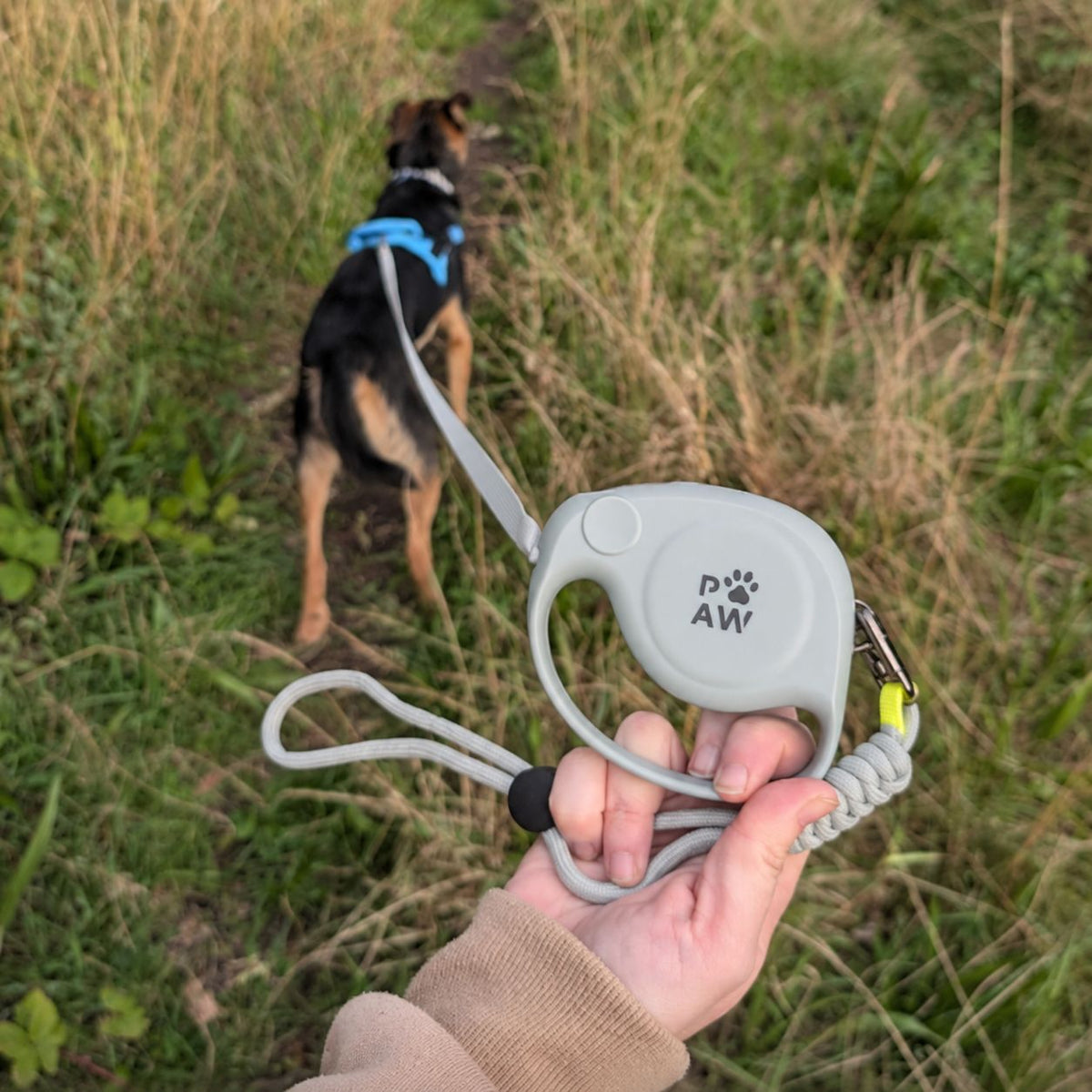 Paw Pet Leash - Elephant Strap - Grey - 2m