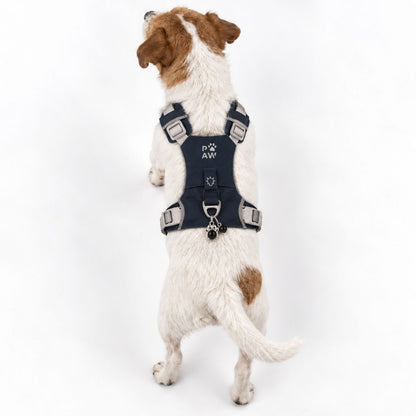PAW - S (4-8Kg) Dog Step-in Guardian Harness with Reflective Mesh - Rock Grey - Black Obsidian Charm
