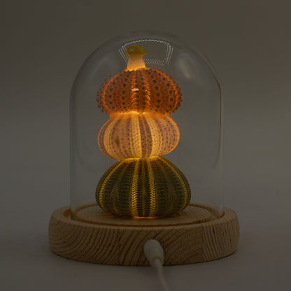 Floral Glow Garden Dome - 3 Sea Urchins - LED USB