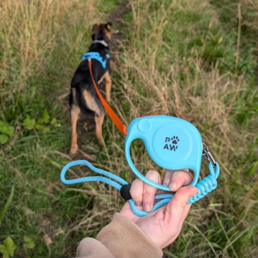 Paw Pet Leash - Elephant Strap - Blue - 2m