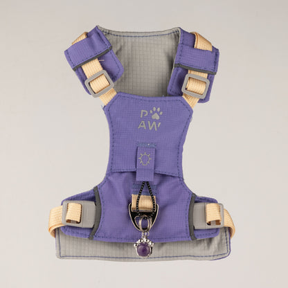 PAW - S (4-8Kg) Dog Step-in Guardian Harness with Reflective Mesh - Lavender - Amethyst Charm