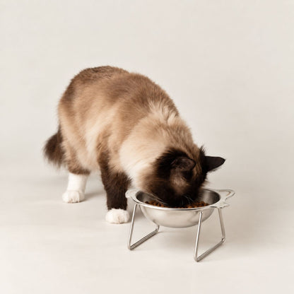 PAW Food Bowls - Single Cat Bowl in Stand - Stainless Steel (304)