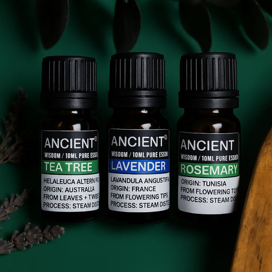 Set of 3: Lavender, Tea Tree & Rosemary Essential Oils - 10 ml Each bottle