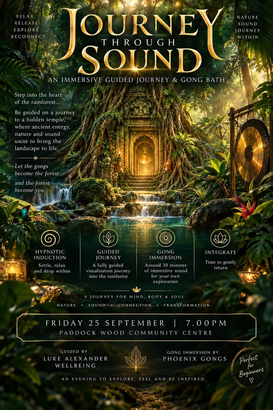 Journey Through Sound